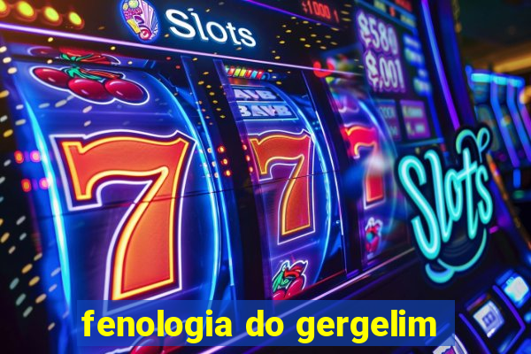 fenologia do gergelim